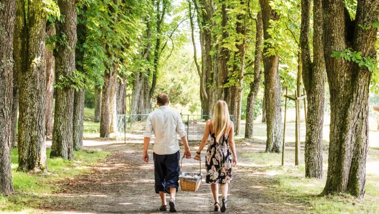 A couple walks through a tree-lined avenue in Artstetten Castle Park with a picnic basket.
