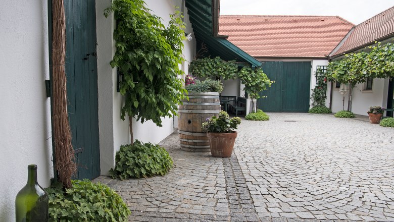 Inner courtyard of a vineyard with cobblestones, green doors and plants.