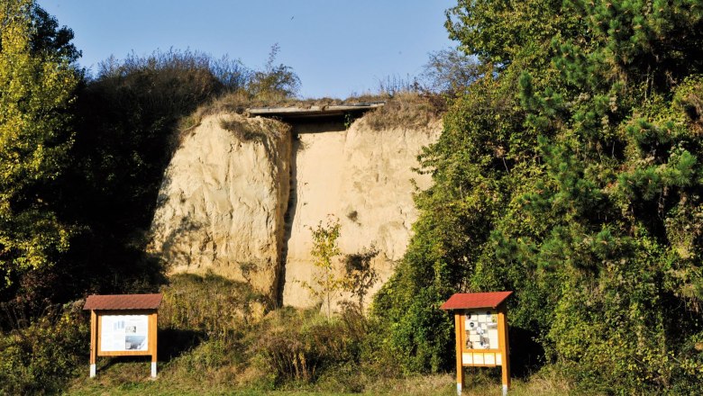 Display boards on the ice age hiking trail on the Galgenberg in Stratzing, © POV_Gemeinde Stratzing