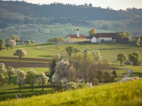 Fotopunkt Karl Lammerhuber Blick Südosten, © Mostviertel