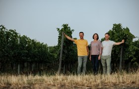 Three people are standing in a vineyard among the vines.