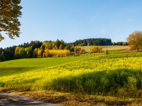 Blick nach Nordwesten - Am Weg nach Sading, &copy; Unknown