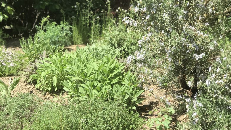 GARDEN, © Lukas Hochrieder
