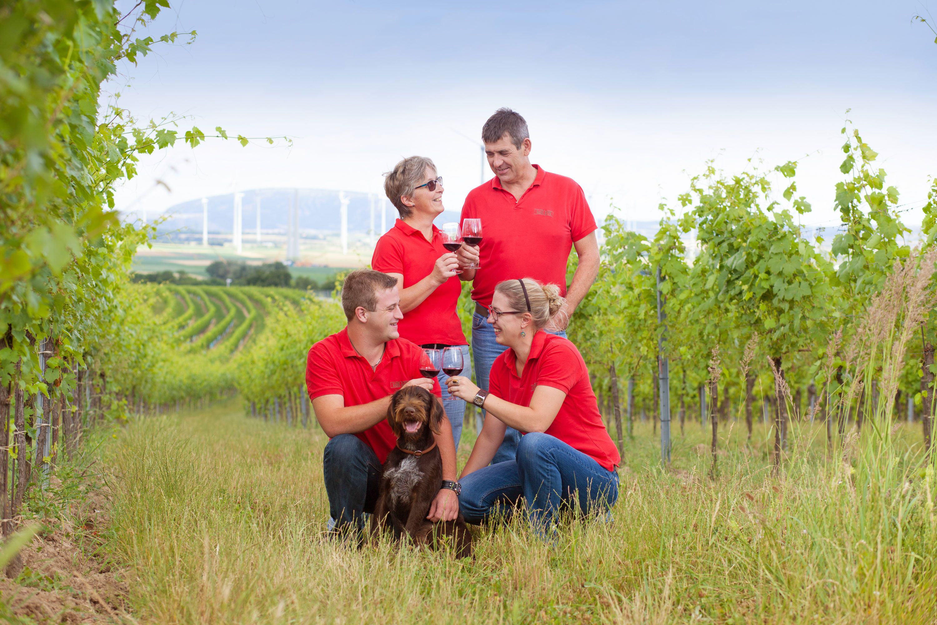 Four people in red shirts and a dog in a vineyard.