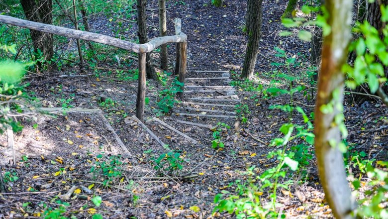 Healing forest Senftenberg, © Nuhr Medical Center