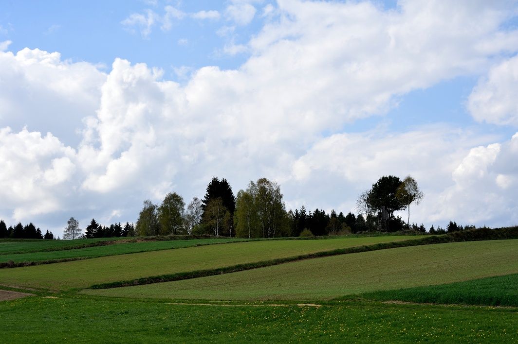 Friesenhof hiking trail