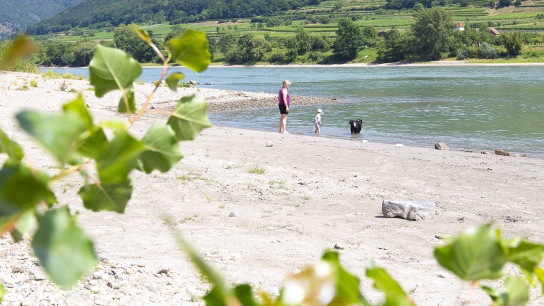 Danube beach in Spitz, &copy; Donau N&Ouml; Tourismus_Barbara Elser