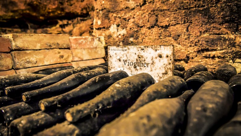 Dusty wine bottles in the cellar with a sign saying 'Viognier'.