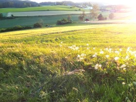 Rappottenstein, &copy; waldsoft