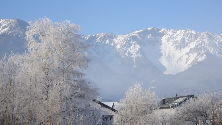 Snowy landscape with mountains in the background and trees in the foreground.