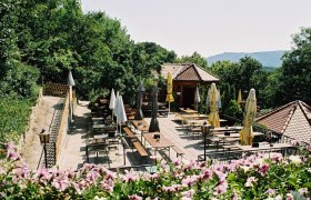 Terrace wine tavern with empty tables and parasols, surrounded by trees and flowers.