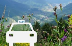 Web graphic Jauerling shared cab, &copy; Angelika Sch&ouml;binger-Trauner