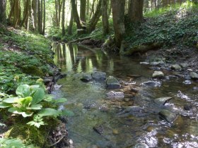 Rundwanderweg stilles Tal, &copy; Mostviertel