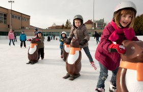 Children skating with penguin aids on an ice rink.