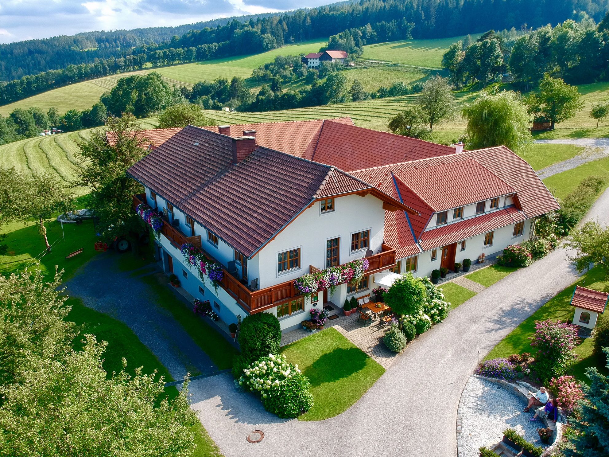 Aerial view of a large farm with red roofs, surrounded by green fields and trees.