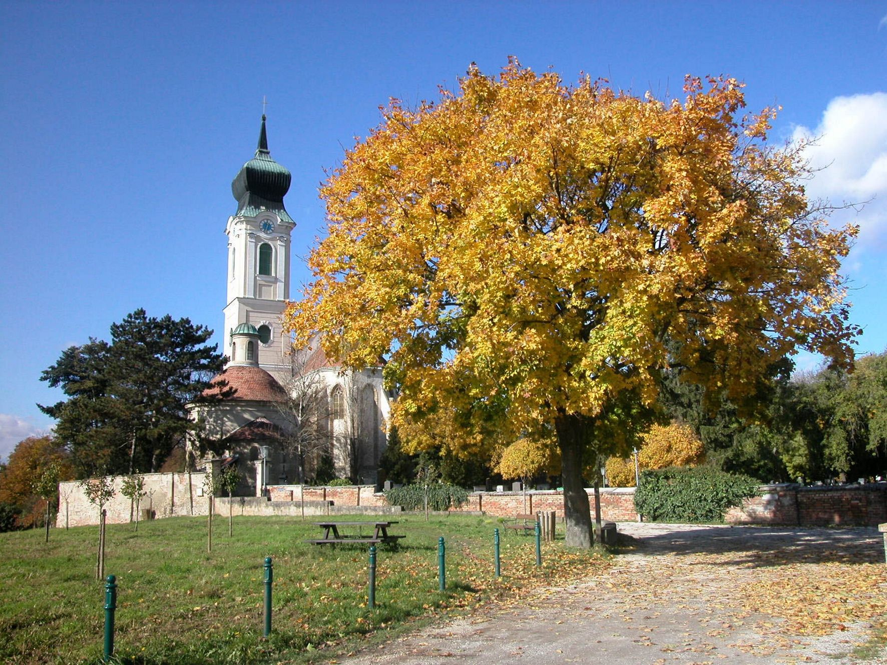 Church with tower and autumnal tree in the foreground.