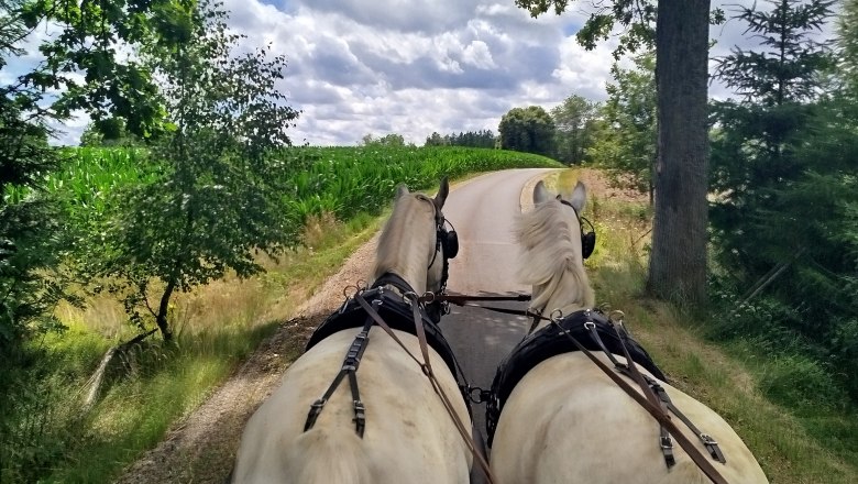 Dream, &copy; Sonja H&ouml;gler