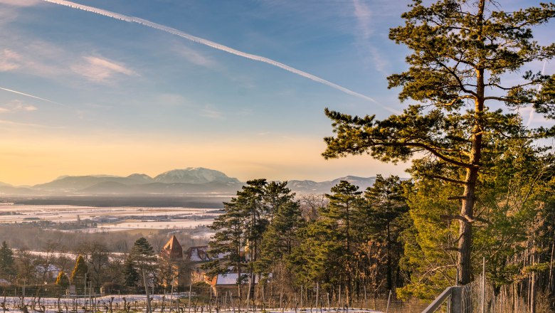 Winter landscape with trees and mountains in the background at sunset.