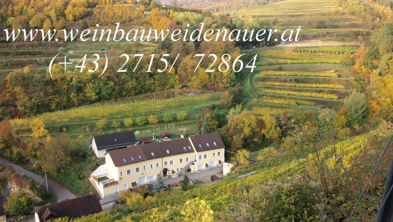 Vineyards with a building in the foreground, surrounded by an autumnal landscape.