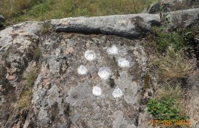 A rock with several white, circular markings in a natural environment.
