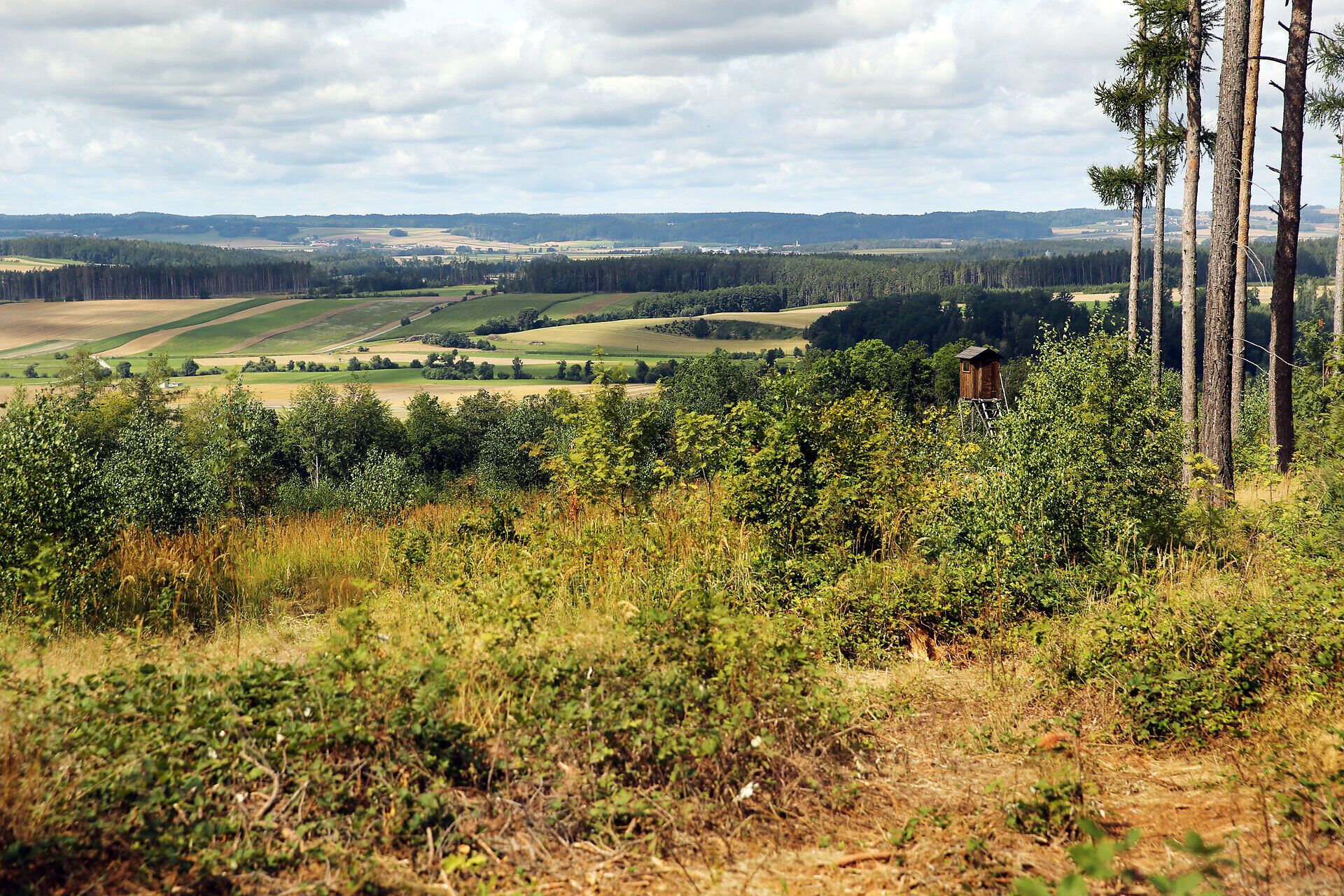 The rolling hills and wide fields of the Dobersberg Nature Park are perfect for relaxing hikes. Here, where nature is in full bloom, visitors can enjoy the fresh air and breathtaking views. A true paradise for nature lovers and those seeking relaxation.