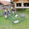 Three children are standing next to a small enclosure with white rabbits in a meadow.
