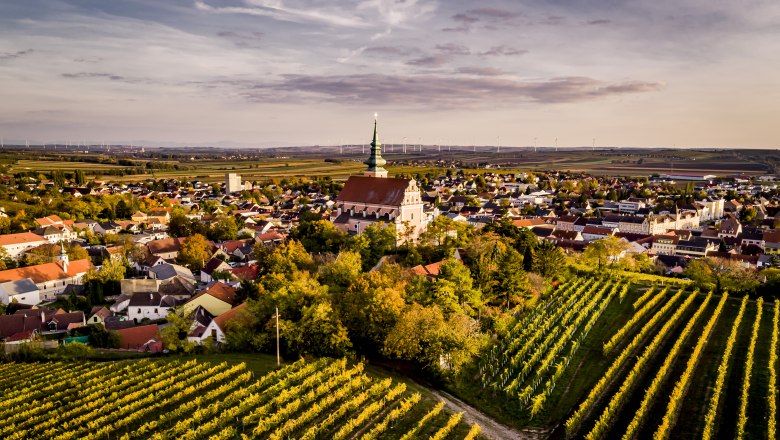 Aerial view of a town with a church and vineyards in the foreground.