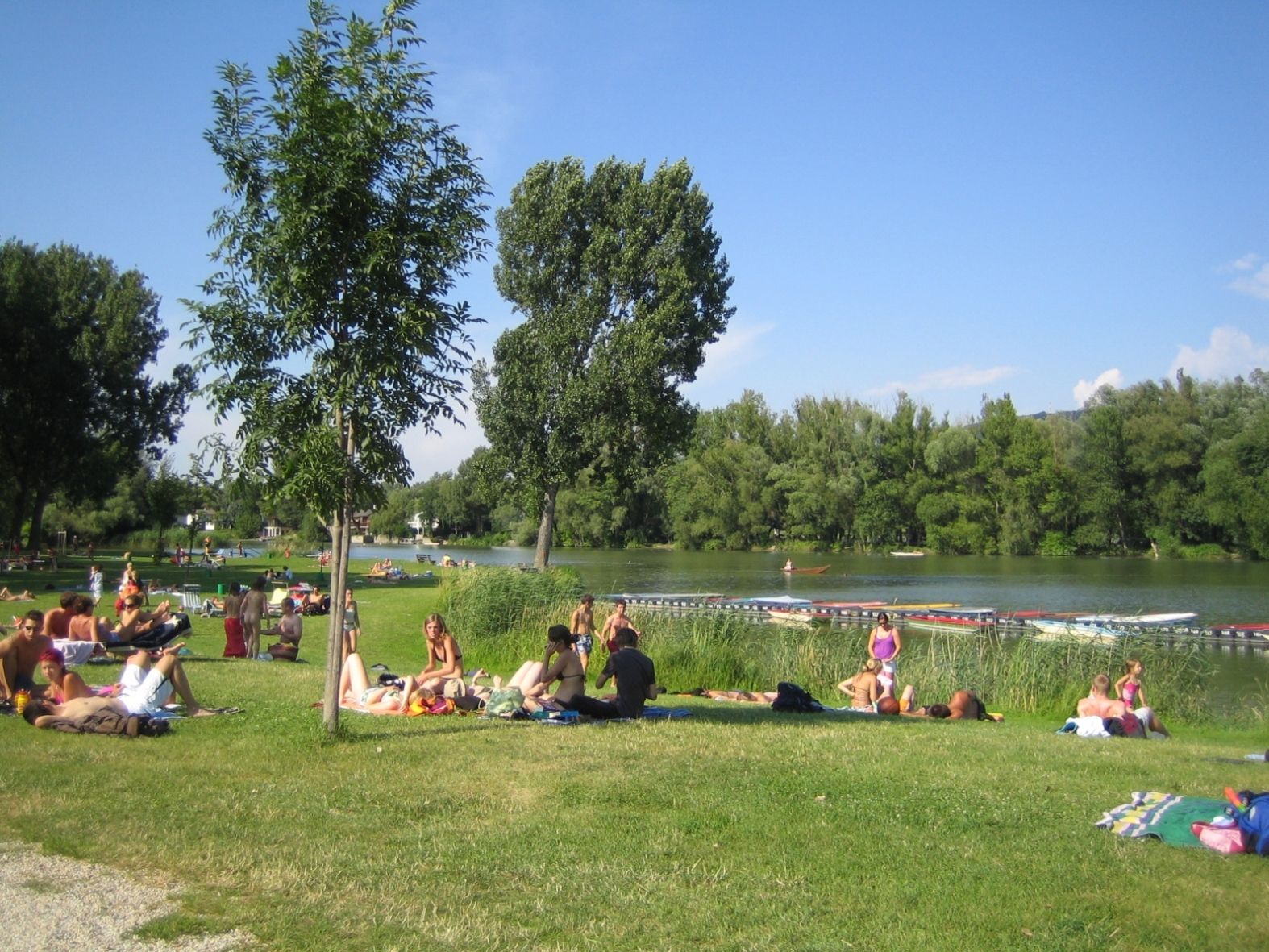 People relaxing on a meadow on the riverbank in sunny weather.