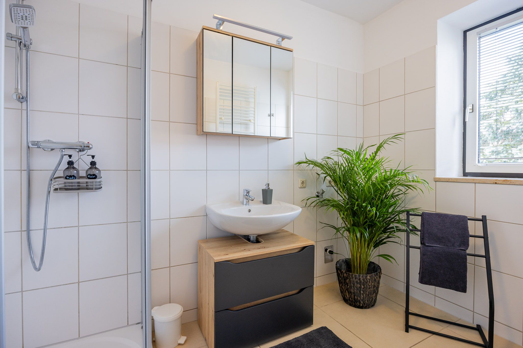 Modern bathroom with shower, washbasin, mirror and plant.