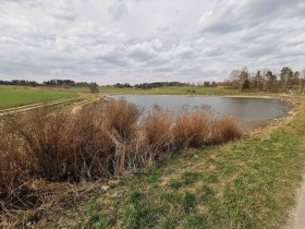 Edelweiher, © Thomas Diesner