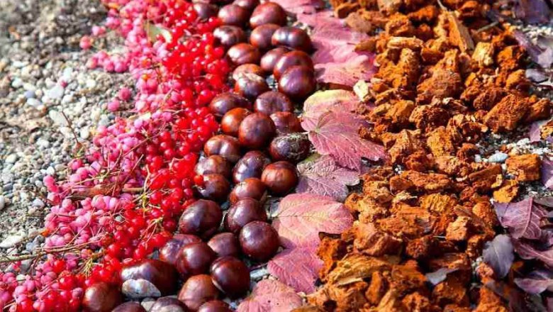 Feel the forest., © Thomas Wielander