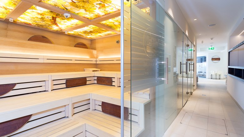 Interior view of a modern spa area with sauna and glass door.
