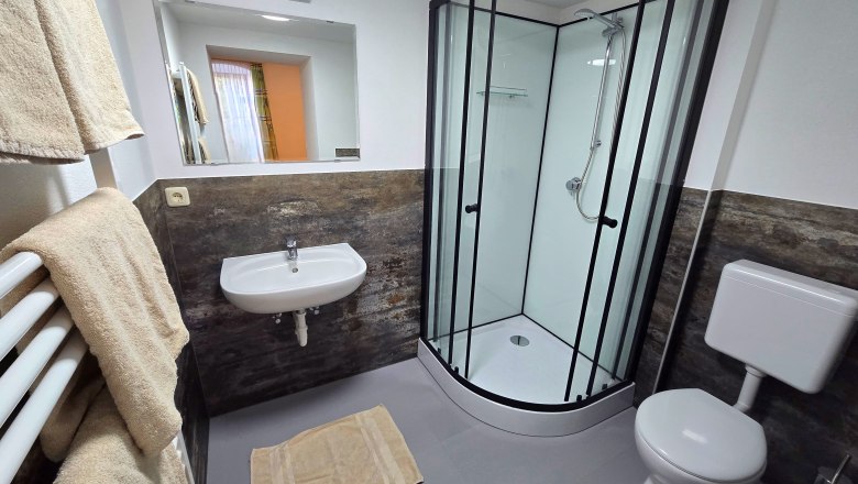 Modern bathroom with shower, washbasin and toilet.