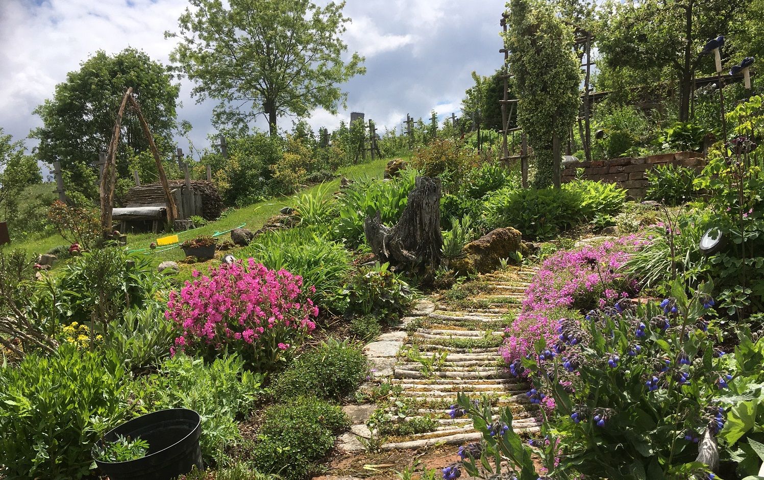 A garden path made of logs, surrounded by colorful flowers and green foliage, leads through a lush garden under a cloudy sky.