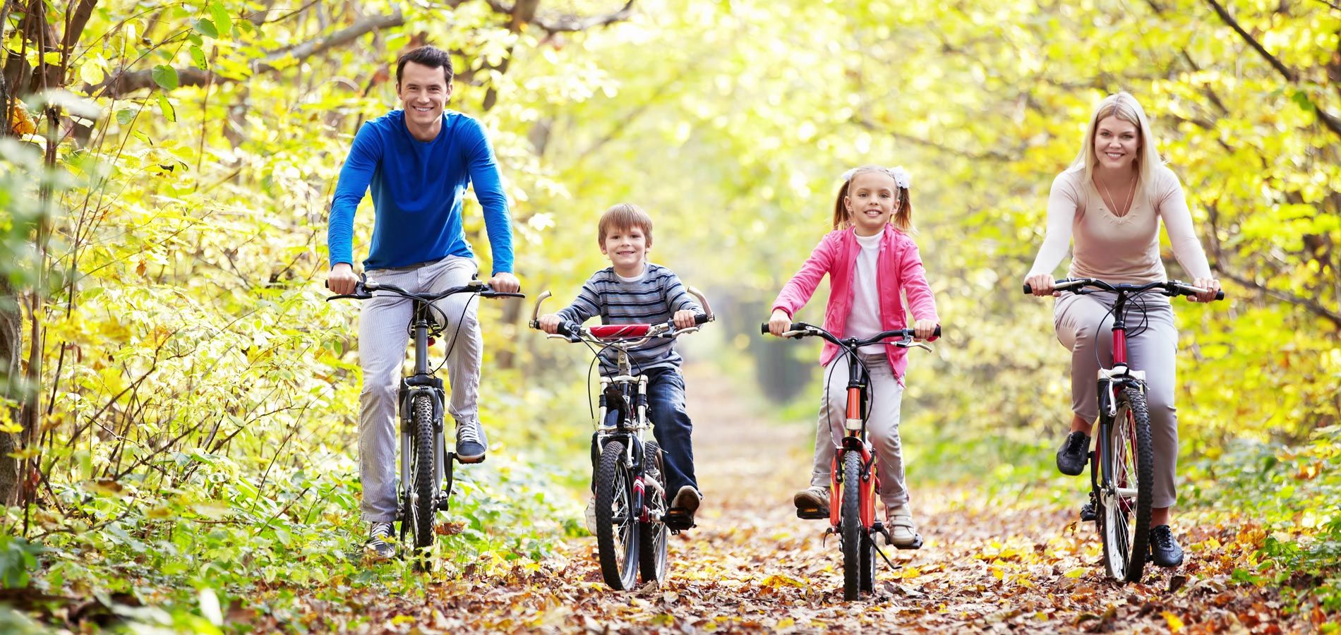 In-house rental bikes