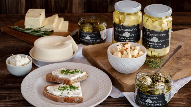 Various dairy products in glasses and on plates beautifully arranged with herbs.