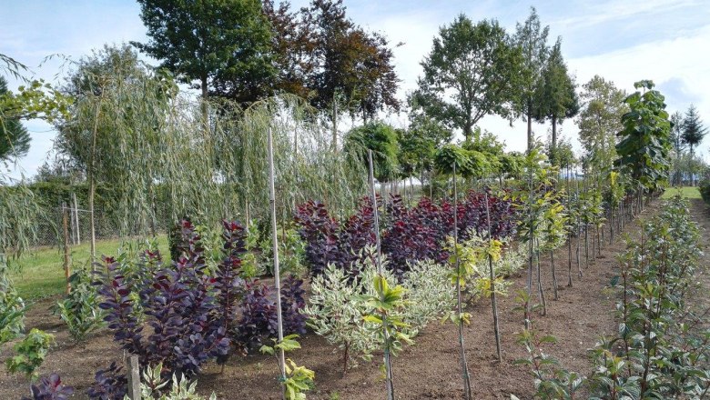 Huber Garden Design & Nursery, &copy; Gartengestaltung & Baumschule Huber