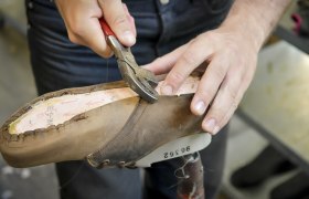 Person works on shoe with pliers on a last.