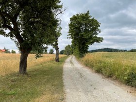 Jauerling-Runde 03: Maria Laach-Emmersdorf, &copy; Wachau-Nibelungengau-Kremstal
