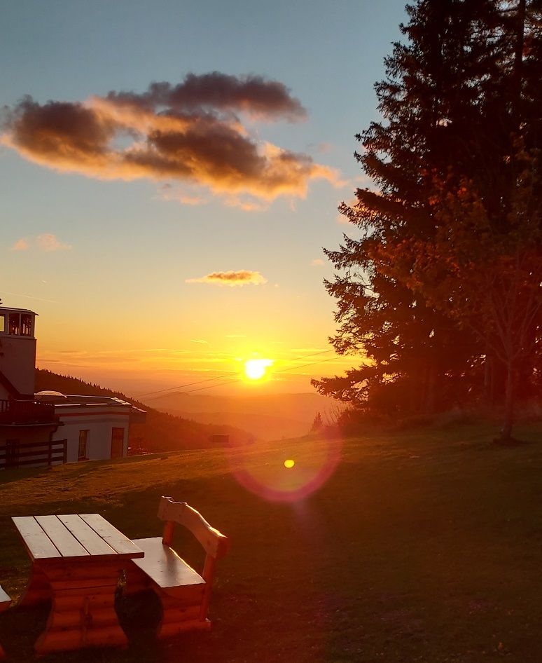 Sunset over a meadow with a wooden table and bench, trees and buildings in the background.