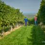 Vineyard inspection, &copy; Philipp Monihart
