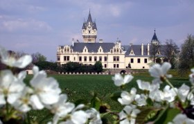 Grafenegg Castle with blossoming trees in the foreground.
