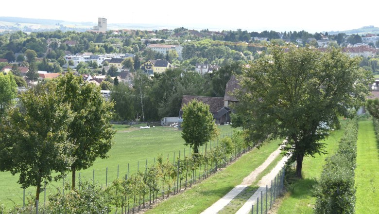 Landscape with path, trees and town in the background.