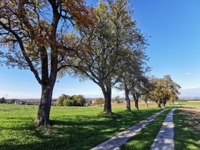 Spurweg Edlach, &copy; Brigitte Hofschwaiger