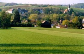 Green meadows with village and church in the background.