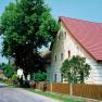 Street with traditional houses and trees in a rural setting.