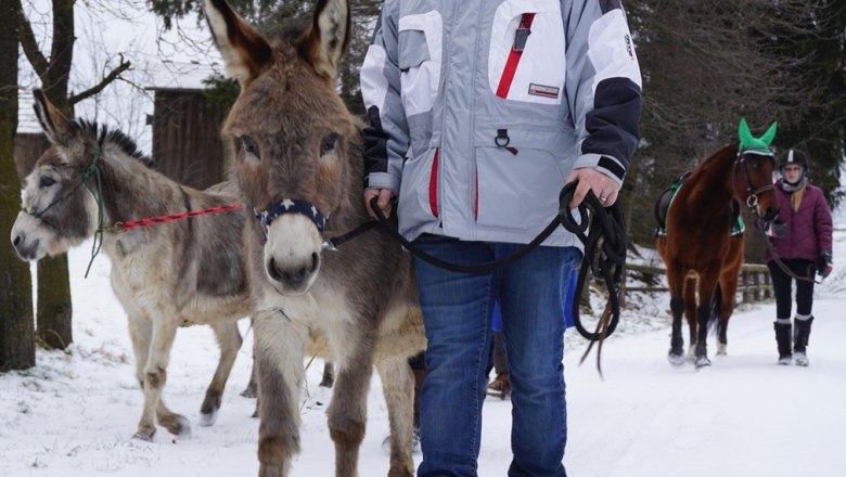 Donkey hike, © Robert Wagner