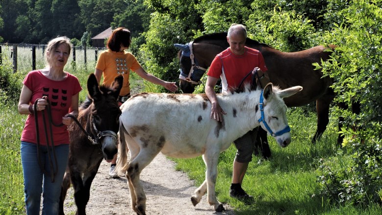 friends on the road, © (Copyright Christine Plocek)