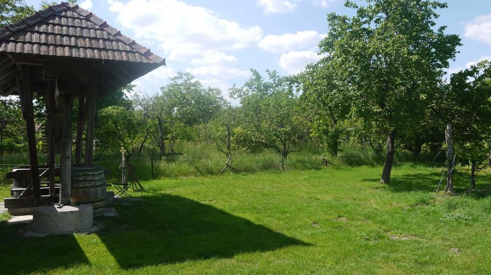 Green meadow with old trees and a wooden press under one roof.