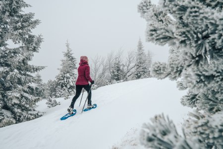 Snowshoeing on the Rax, © Tereza Bokrová